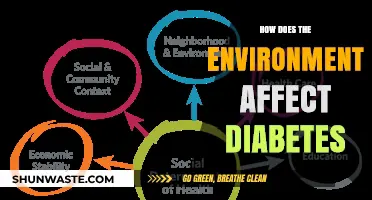 Environmental Factors and Diabetes: Uncovering the Impact on Health
