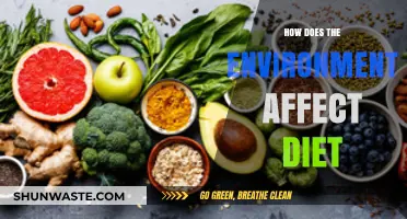 Environmental Factors Shaping Dietary Choices and Nutritional Outcomes