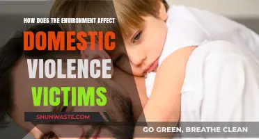 Environmental Factors and Their Impact on Domestic Violence Survivors