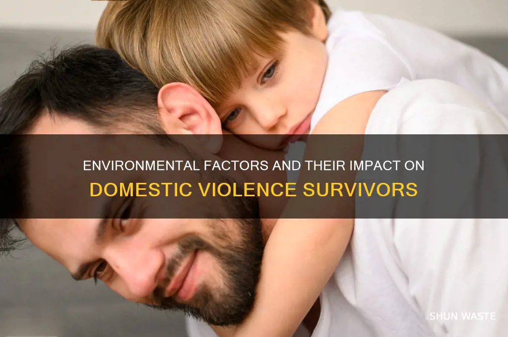 how does the environment affect domestic violence victims