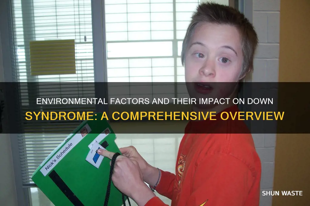 how does the environment affect down syndrome