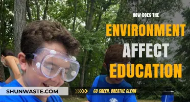 Environmental Impact on Learning: Shaping Education Through Surroundings and Sustainability