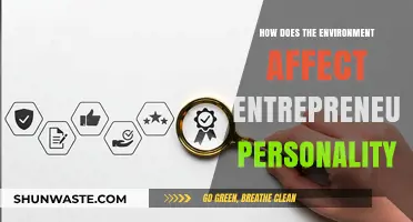 Environmental Influences on Shaping Entrepreneurial Mindsets and Personalities