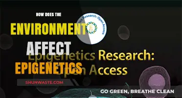 Environmental Influences on Epigenetics: Unraveling Nature's Impact on Gene Expression