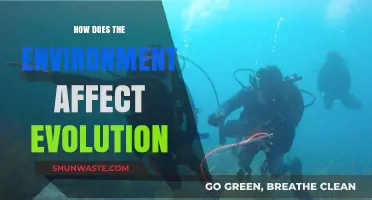 Environmental Forces Shaping Evolution: Unraveling Nature's Impact on Species Adaptation