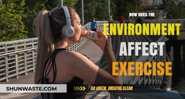 Environmental Factors: How Nature and Surroundings Shape Your Workout Results