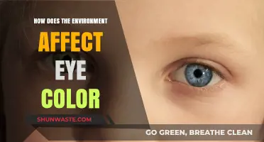 Environmental Factors Shaping Eye Color: Genetics, Sunlight, and Beyond