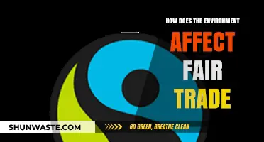 Environmental Impact on Fair Trade: Challenges and Sustainable Solutions