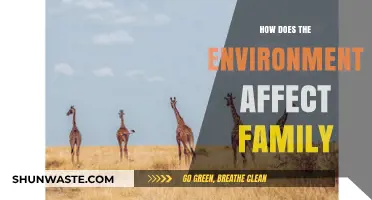 Environmental Influences: Shaping Family Dynamics and Well-being