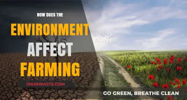 Environmental Factors Shaping Agriculture: Impacts on Farming Practices and Yields