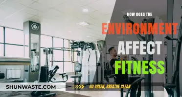 Environmental Impact on Fitness: Uncovering Nature's Role in Your Workout