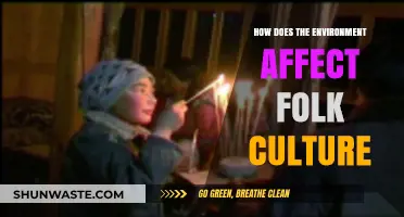 Nature's Influence: Shaping Folk Culture Through Environmental Interactions