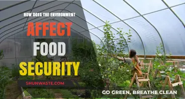 Environmental Impact on Food Security: Challenges and Sustainable Solutions