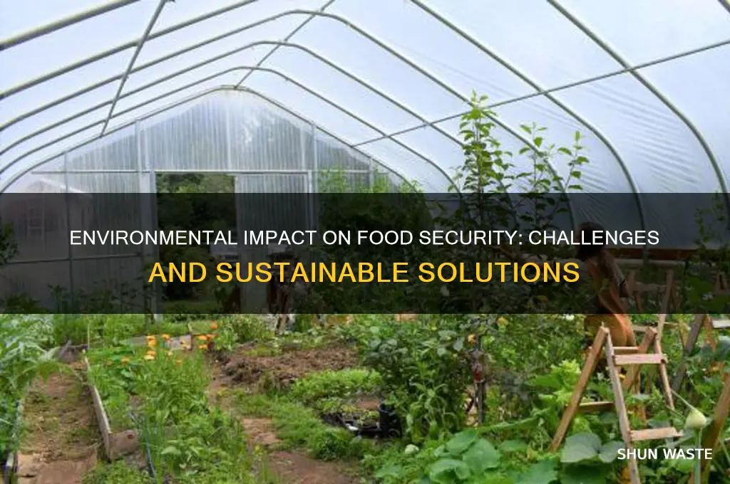 how does the environment affect food security
