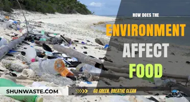 Environmental Impact on Food: Climate, Soil, and Sustainability Explained
