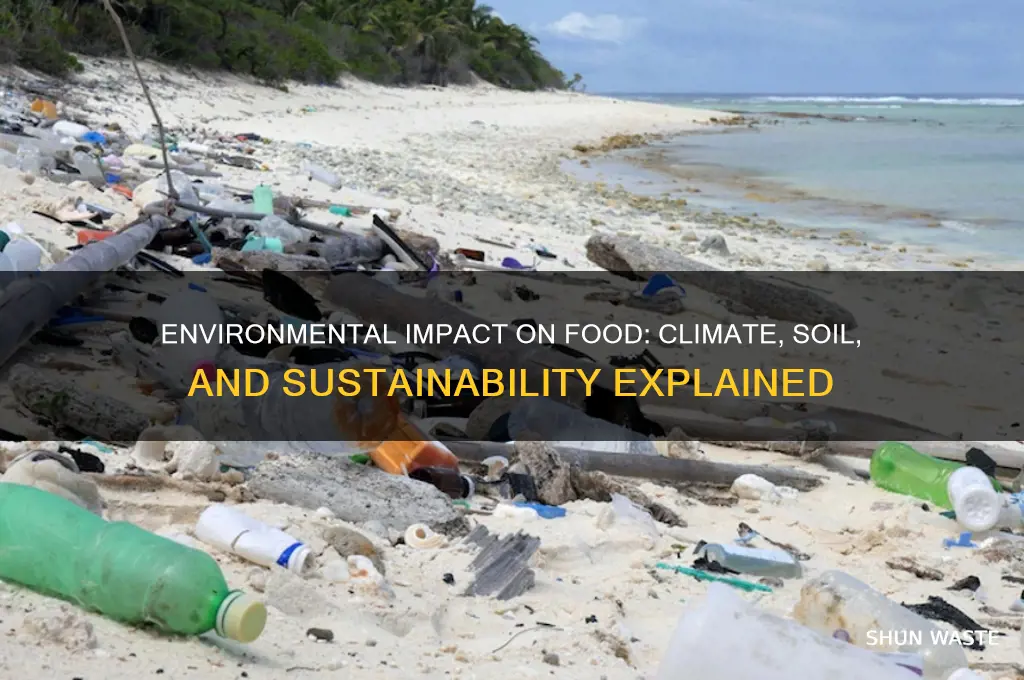 how does the environment affect food