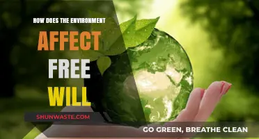 Environmental Influences on Free Will: Shaping Choices Beyond Individual Control