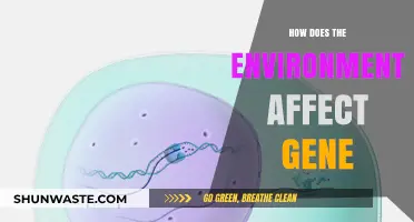 Environmental Influences on Gene Expression: Unraveling Nature's Complex Interactions