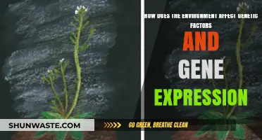 Environmental Influences on Genetics: Shaping Gene Expression and Traits