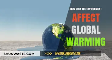Environmental Factors Fueling Global Warming: Causes, Impacts, and Solutions
