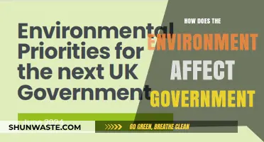 Environmental Impact on Governance: Shaping Policies and Political Decisions