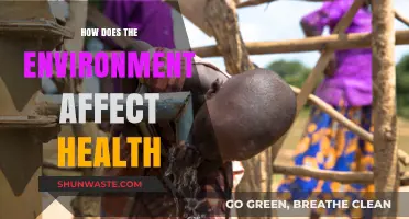 Environmental Impact on Health: Exploring the Vital Connections for Well-Being