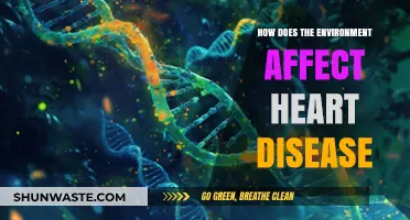 Environmental Factors and Heart Health: Uncovering the Surprising Connections