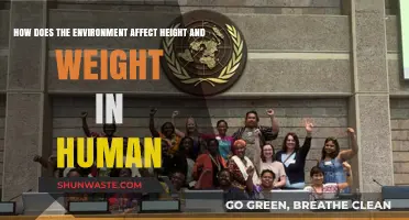 Environmental Factors Shaping Human Height and Weight: Insights and Impacts