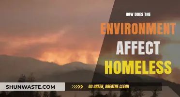 Environmental Impact on Homelessness: Challenges, Health, and Survival Strategies