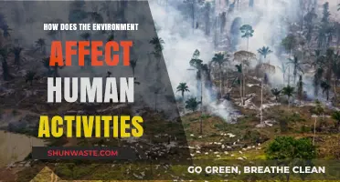 Environmental Impact: Shaping Human Activities and Daily Life Choices