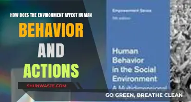 Environmental Influences: Shaping Human Behavior and Daily Actions Explained