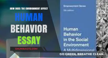Environmental Influences: Shaping Human Behavior and Psychological Responses
