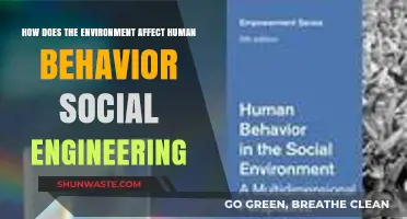 Environmental Influences on Human Behavior: Unveiling Social Engineering Dynamics