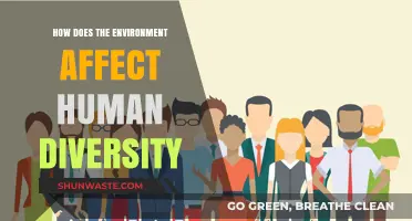 Environmental Influences on Human Diversity: Shaping Cultures, Identities, and Adaptations