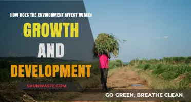 Environmental Impacts on Human Growth: Shaping Development and Well-Being