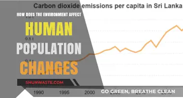Environmental Impacts on Human Population Shifts: Causes and Consequences