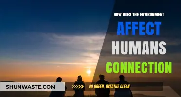 Nature's Impact: How Environments Shape Human Connections and Well-Being