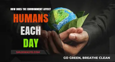 Daily Environmental Impacts: How Nature Shapes Our Lives and Health