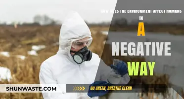 Environmental Hazards: How Nature's Impact Harms Human Health and Well-being