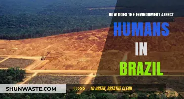 Brazil's Environment: Impacts on Human Health, Livelihoods, and Communities