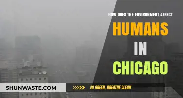 Chicago's Environment: Impacts on Health, Lifestyle, and Community Resilience