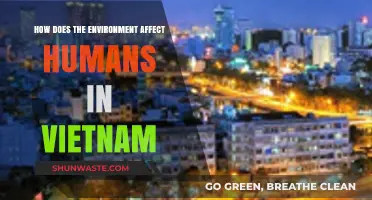 Vietnam's Environment: Impacts on Human Health, Livelihoods, and Well-being