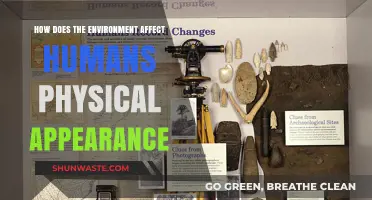 Environmental Influences on Human Physical Appearance: Unveiling Nature's Impact