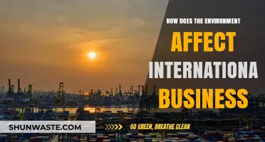Environmental Impact on Global Trade: Challenges and Opportunities for International Business