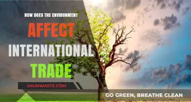 Environmental Impact on Global Trade: Challenges and Opportunities