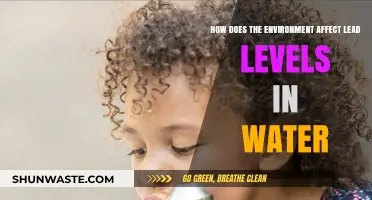 Environmental Factors Influencing Lead Contamination in Drinking Water Sources