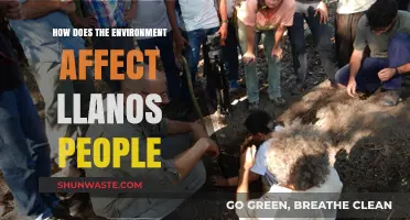 Environmental Impacts on Llanos Communities: Challenges, Adaptations, and Resilience