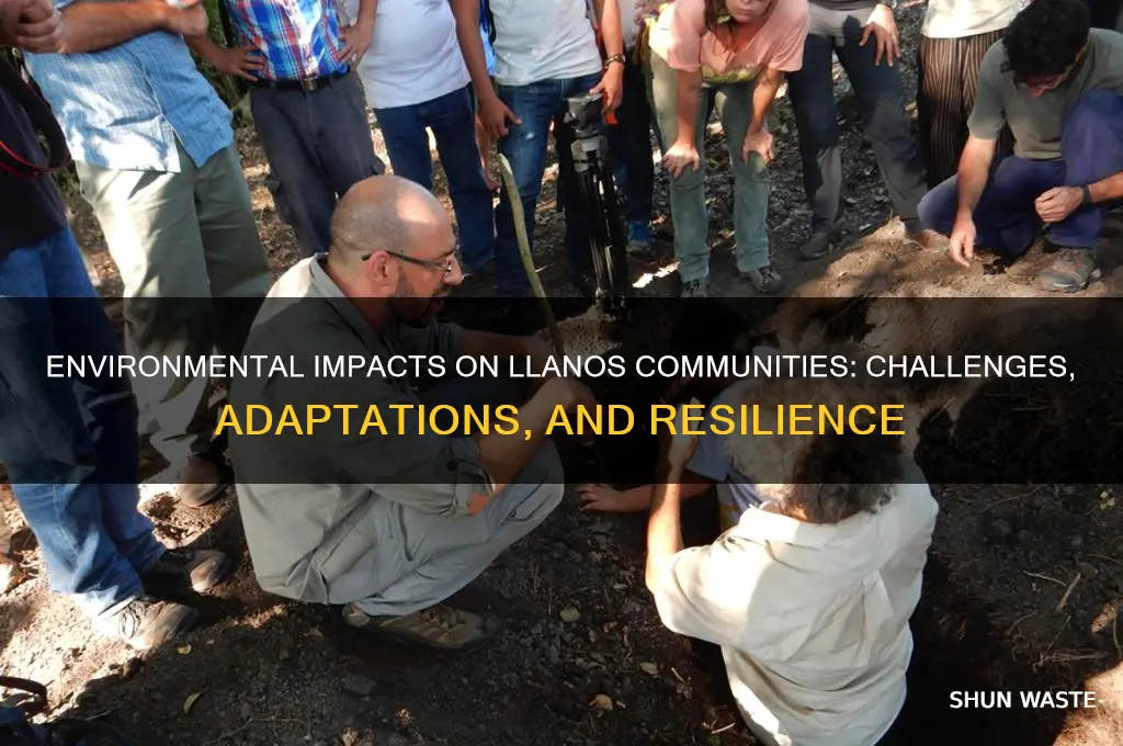 how does the environment affect llanos people