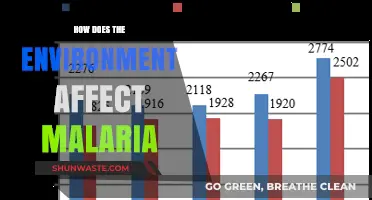 Environmental Factors Shaping Malaria Spread: Climate, Ecology, and Human Impact