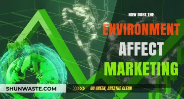 Environmental Impact on Marketing: Strategies for a Sustainable Future